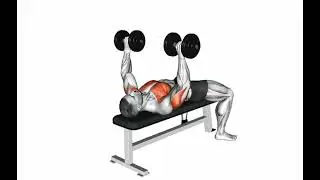 Dumbbell Bench Press