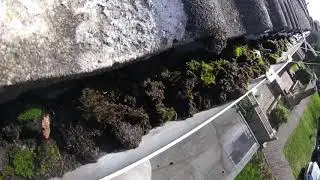 Blocked gutters