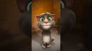 Ding Dong Talking Tom #talkingduck #cat #talkingtom #talkintom2 #funny #talkingtomfunny
