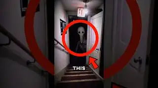 If you ever see this terrifying creature inside your home. just run ‼️😱