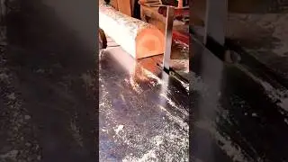 Sawmill Innovations | New Technologies and Techniques for Efficient Sawing. #shorts