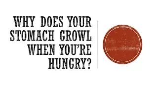 Why Does Your Stomach Growl When You're Hungry?
