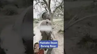 Hadzabe Tribe's Amazing Bird Catching Action