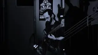 Dirtmouth theme from Hollow Knight | Learning Melodies | Bass Cover