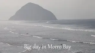 1027 - Big Day - Morro Bay Birding Festival