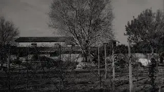 Hommeage - Jannis Sicker (Music Video)