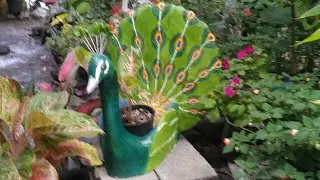 cómo hacer maceta de pavo real con material Reciclado