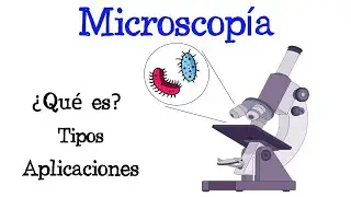 🔬 &iquest;Qu&eacute; es la Microscop&iacute;a? 🦠 Tipos 🔎 Aplicaciones [F&aacute;cil y R&aacute;pido] | BIOLOG&Iacute;A |