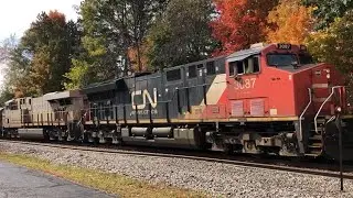 10/12/22 CN Train 396