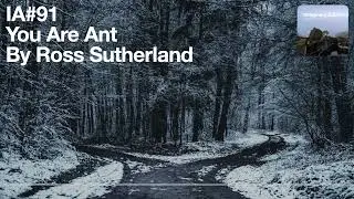 You Are Ant