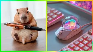 Amazing Capybara Art & Other Genius Animal Creations