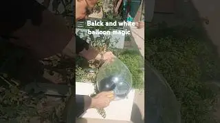 Black and white balloon magic #shorts #science #experiment #scienceexperiment #physics #short