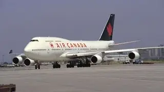 Air Canada pilot diverts Tel Aviv to Toronto flight to ensure dog's safety