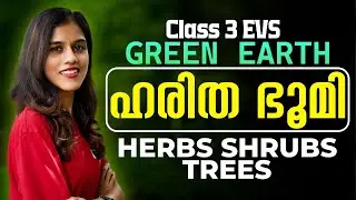 Class 3 Evs | Green Earth / ഹരിത ഭൂമി | Herbs , shrubs & Trees | Exam Winner
