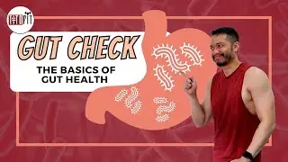 What is GUT HEALTH? (Microbiome) - TitoFit Tips