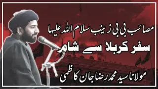 Masaib Bibi Zainab sa | Maulana Syad Raza Jan Kazmi | Imam Bargah Husssainia Muzaffargarh