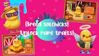 Introducing SolChicks NFT