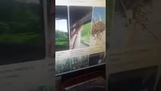 МИЛЛИОН просмотров на канале @ki_roma_traveller !!!