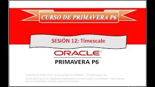 Curso PRIMAVERA P6 Sesión 12 Timescale