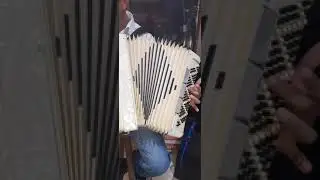 Noble It&aacute;lia 120baixos
