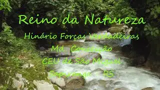 Reino da natureza - Hinário Forças Verdadeiras - Md. Conceição - CEU de São Miguel - RS