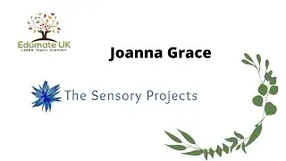 The Sensory Projects