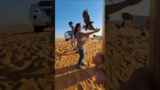 Indian Girl Falcon photo Dubai Desert
