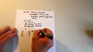PCR  -Higher Biology
