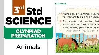 3rd Std Science Olympiad || Animals || Practice || Olympiad Preparation