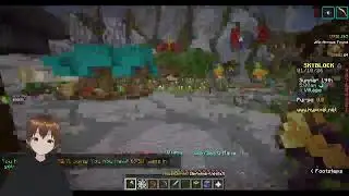 [Hypixel skyblock]  not pokemon time