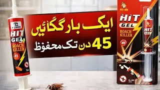 HIT GEL Cockroch Killer | at Home Use | Guranteed Effective For Cockroches Reduced | #Trending
