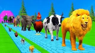 Long Slide Game With Cow Elephant Gorilla Hippopotamus Tiger 3d Animal Game Funny 3d Animals