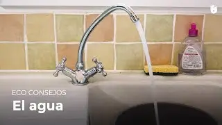Consejos para ahorrar agua | Pobreza energética
