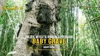 BABY GRAVE IN TORAJA
