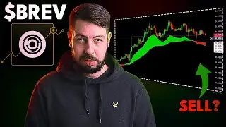 Прогноз цены акций BREVIS ZK ($BREV) - стоит ли покупать $BREV?