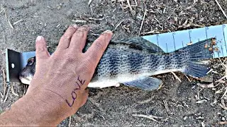Fishing Rodney Marquez's Online Spotty Tournament!