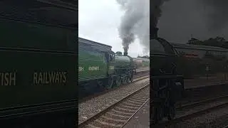 61306 Mayflower leaves for Kingswear