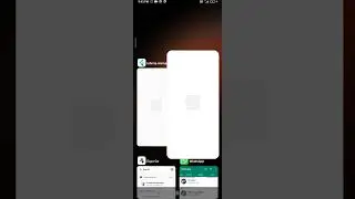 Flutter vs ReactNative : Color Vibrance and Animation Compare