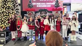 GrupulVocalRapsodia.CraciunCityParkMall2025