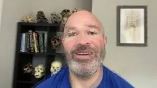 Do human transitional fossils exist?