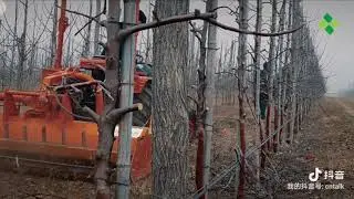 Shengtuo ST504 Garden tractor