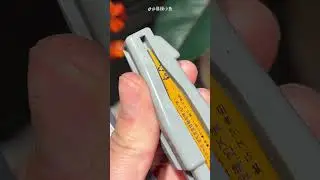 Вот КАК ИДЕАЛЬНО Наточить КАРАНДАШ #шортс