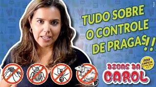 Tudo sobre o controle de pragas 🐜🐀