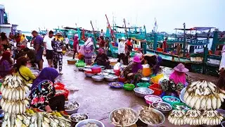 Tons of seafood, fresh seafood right out of the sea, Cambodian seafood market