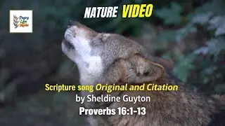 Scripture Song Original & Citation | Proverbs 16:1&ndash;13 | Sheldine Guyton