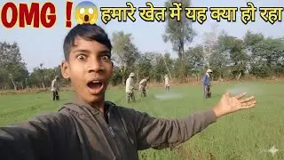 OMG ! 😱 हमारे खेत में यह क्या हो रहा 😱 #fasal #farming #ytshorts #shorts #new #edit #kisan #vlog 