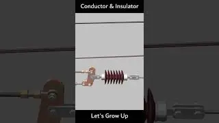 raily insulator #shortinsulator