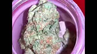 Ghost Drops Z Splitter Buds
