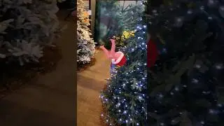 Kerstboom versiering in intratuin #new #fun #kerstboom #christmas #merrychristmas