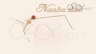 Animated Wedding Invitation Video | Free Wedding invitation video (Adriana & Alejandro)